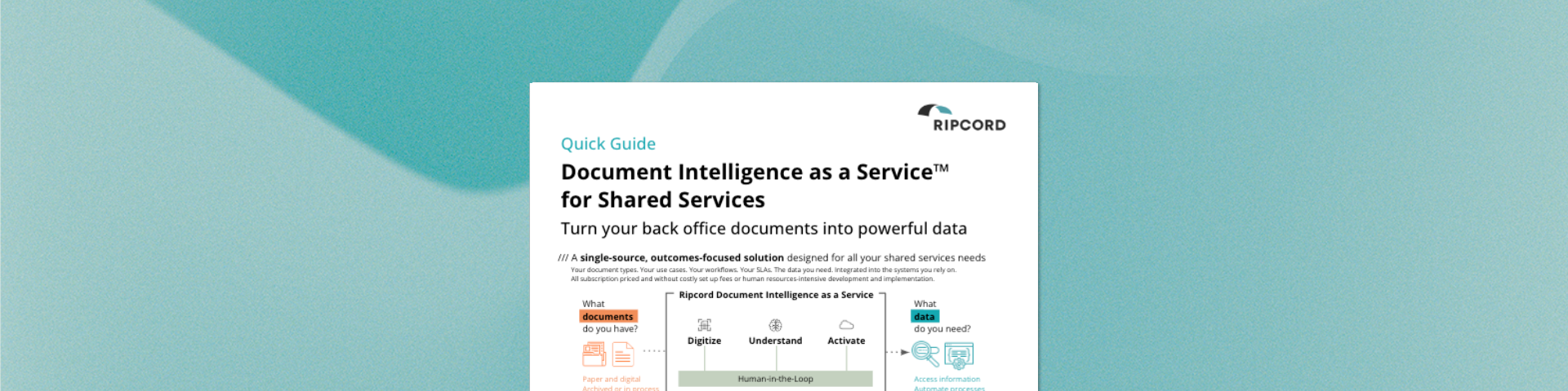Quick Guide DIaaS for Shared Services