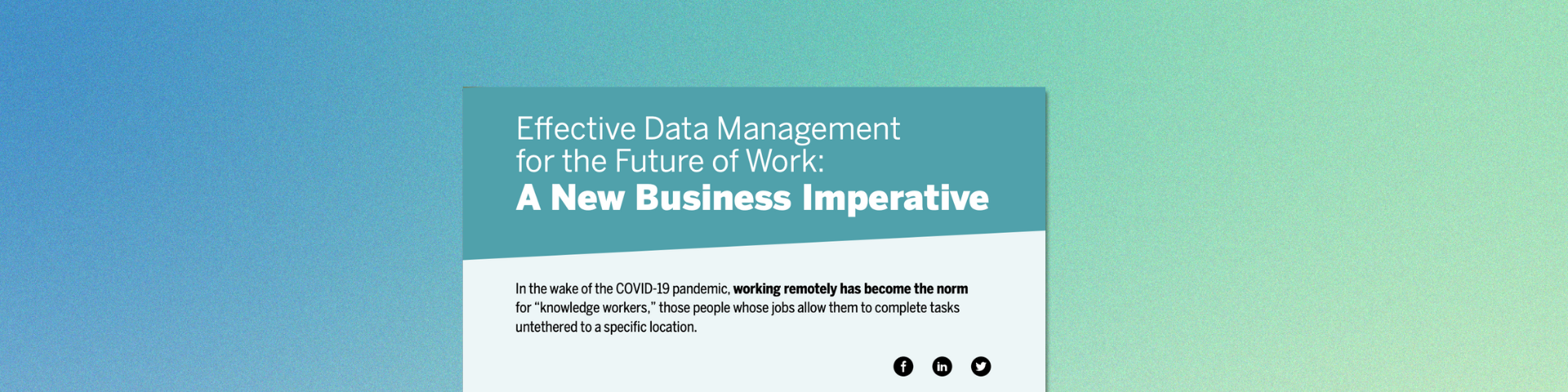 Effective Data Management for the Future of Work eBook - Ripcord