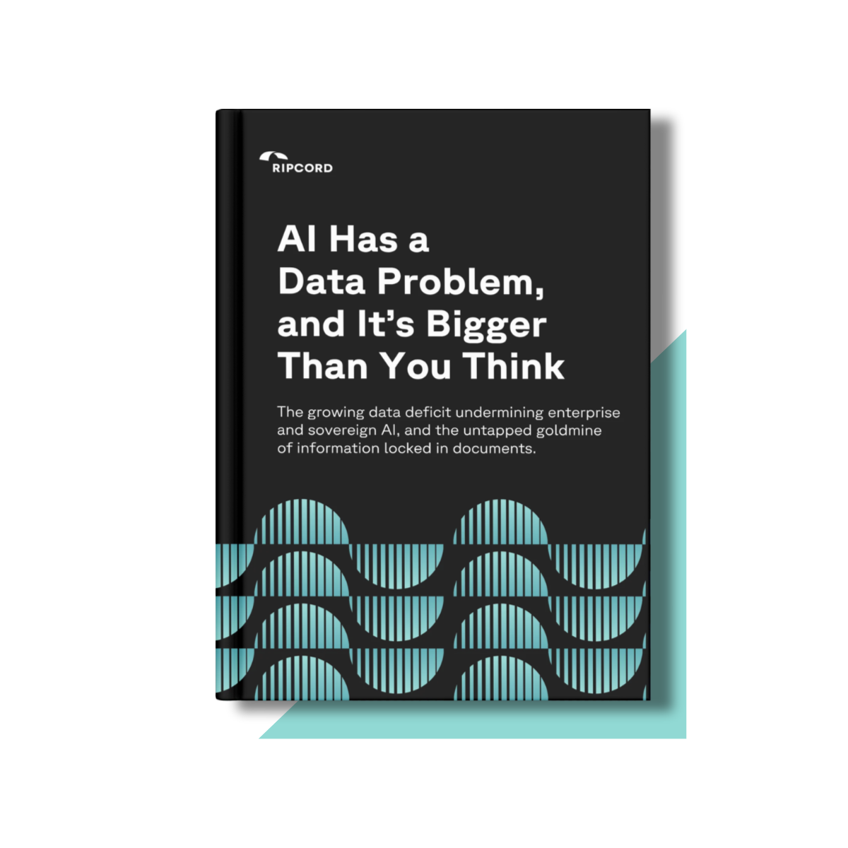 AI Has a Data Problem, and It’s Bigger Than You Think White Paper - Ripcord